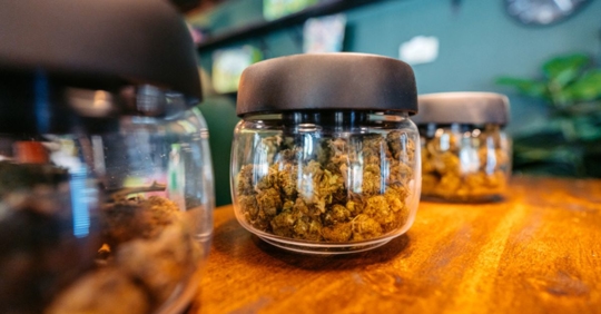 Cannabis jars in shop